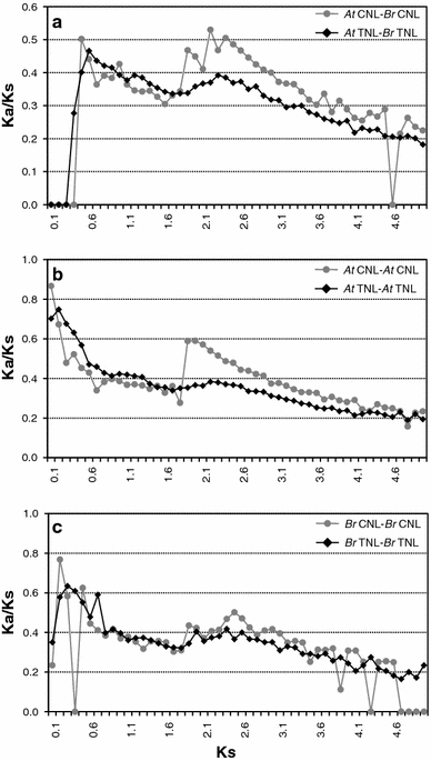 Fig. 7