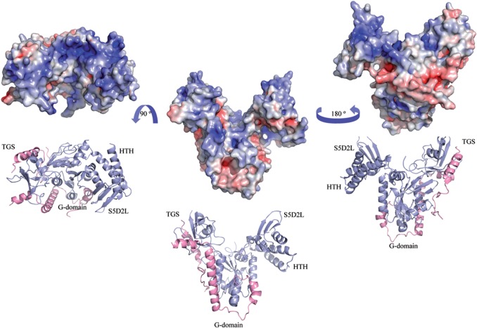 Figure 2.