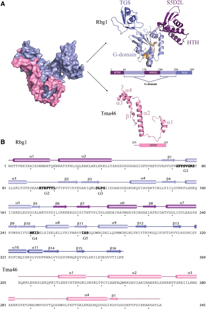 Figure 1.