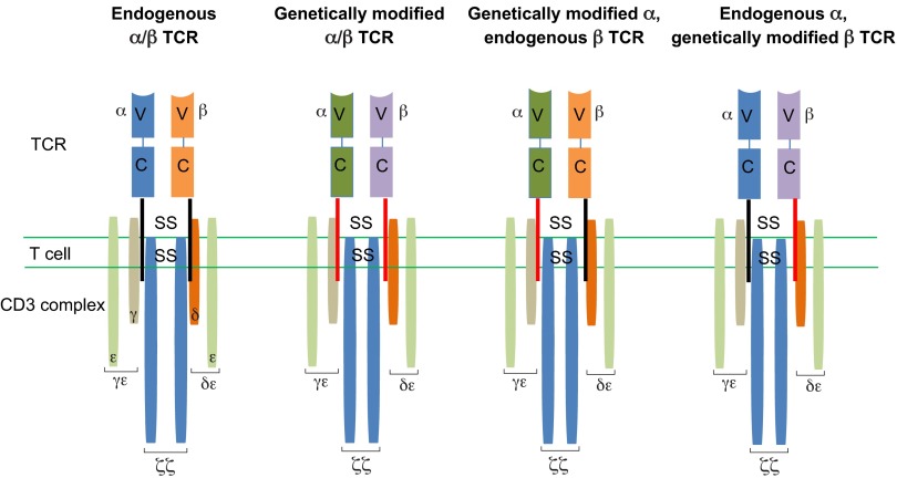 Fig. 4.