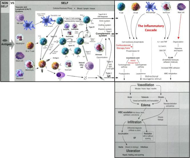 Figure 2.2