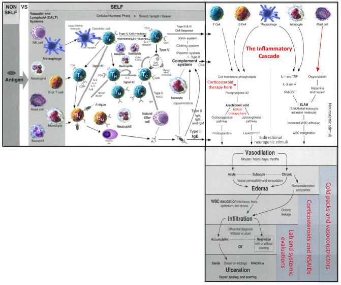 Figure 2.3