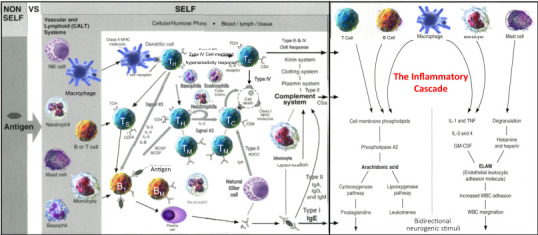 Figure 2.1