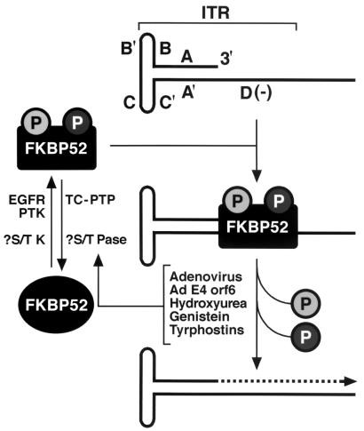 FIG. 9