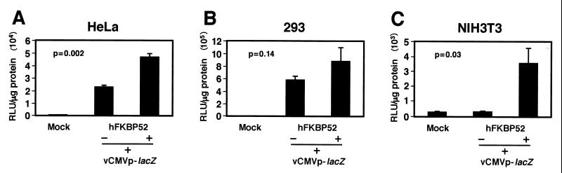 FIG. 8