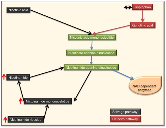 Figure 6