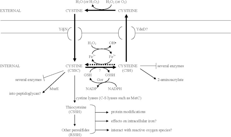 FIG 1