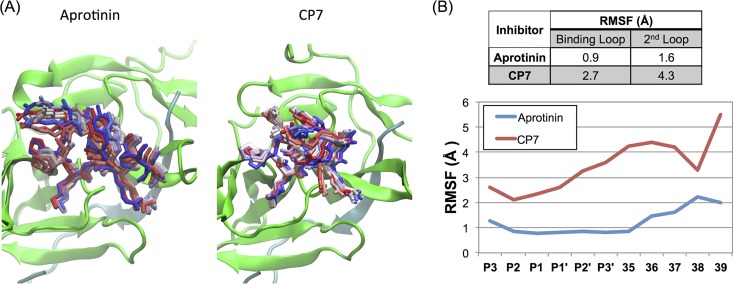 FIG 2