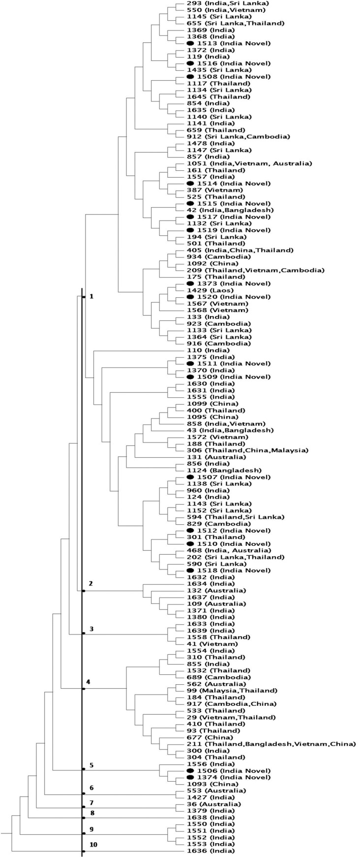 Fig 4