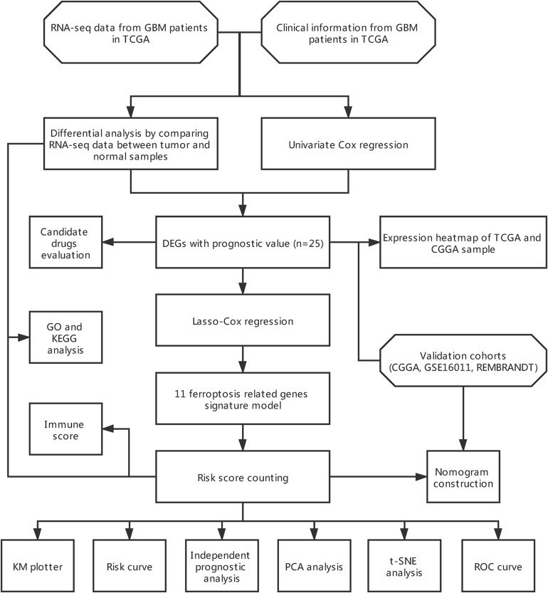 FIGURE 1