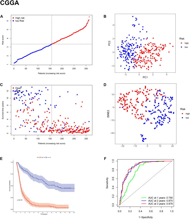 FIGURE 4