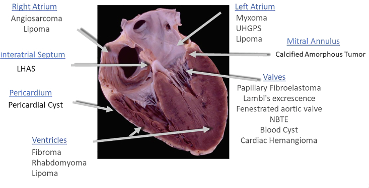 Figure 25