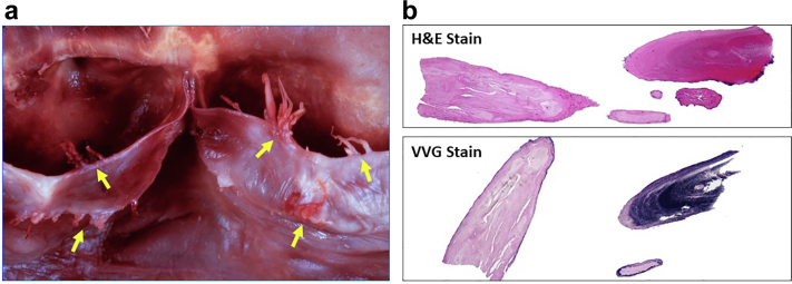 Figure 7