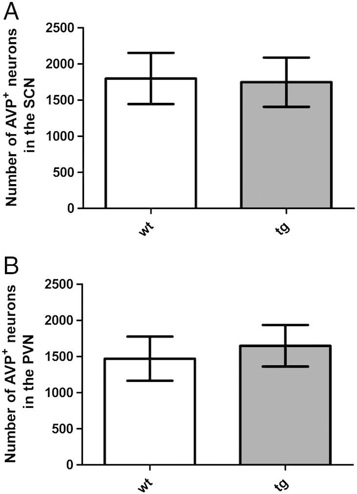 Fig. 6