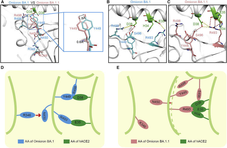 Figure 4