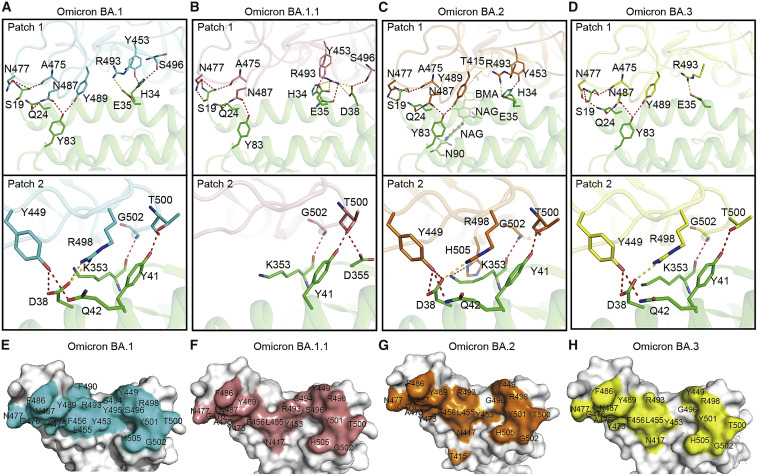 Figure 2