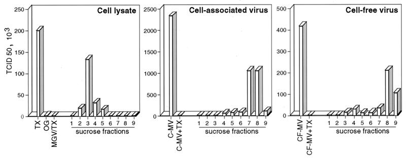 FIG. 7