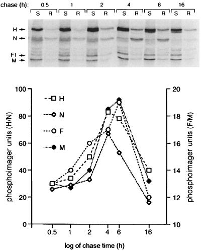 FIG. 4