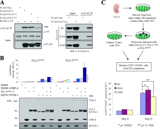 FIG. 6.