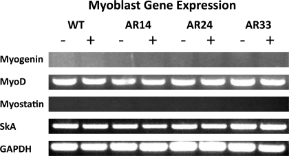 Fig. 9.