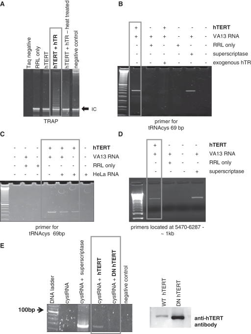 Figure 4.