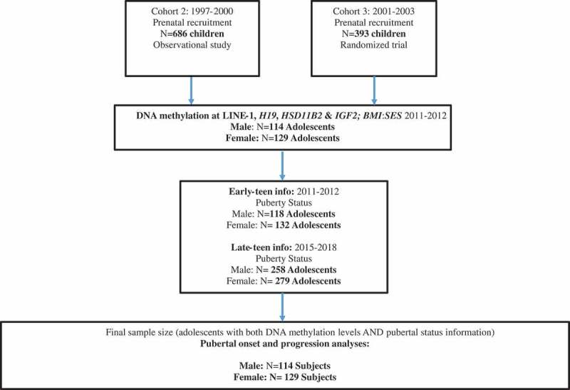 Figure 1.