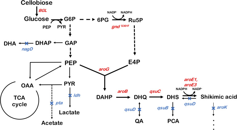 FIGURE 1