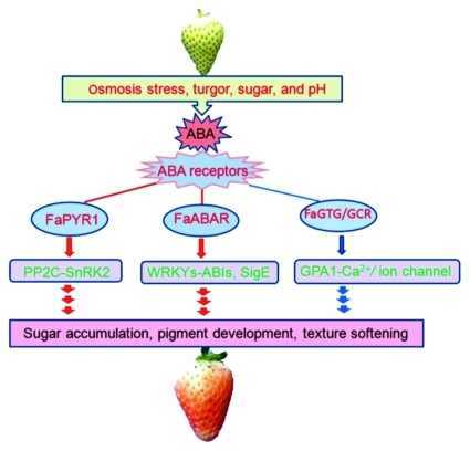 Figure 1.