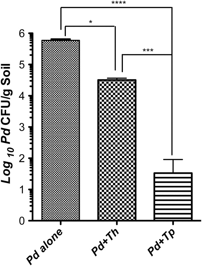 Fig 4