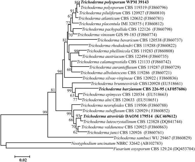 Fig 1