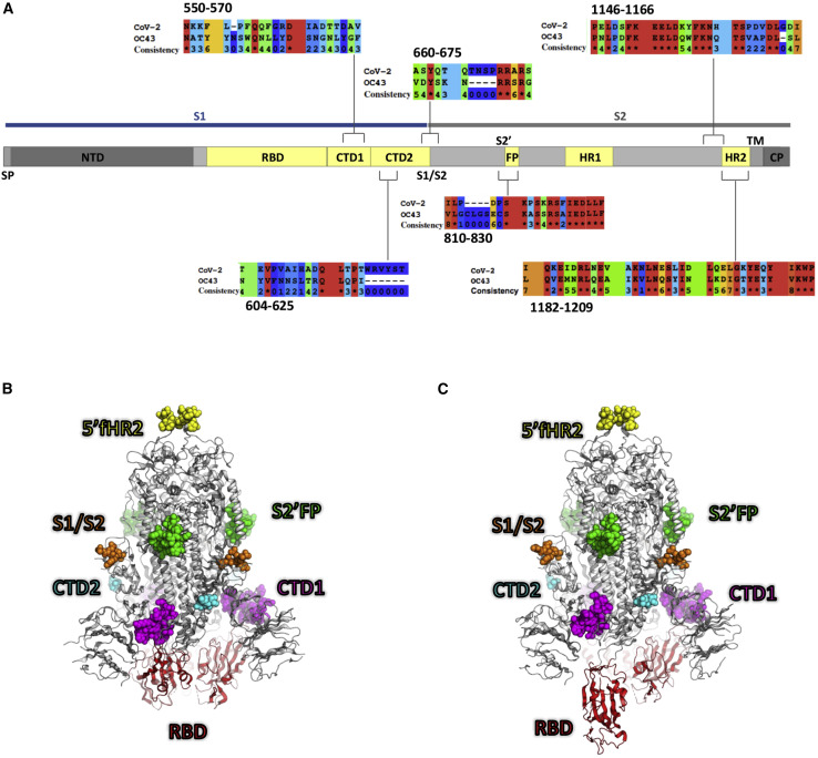 Figure 4