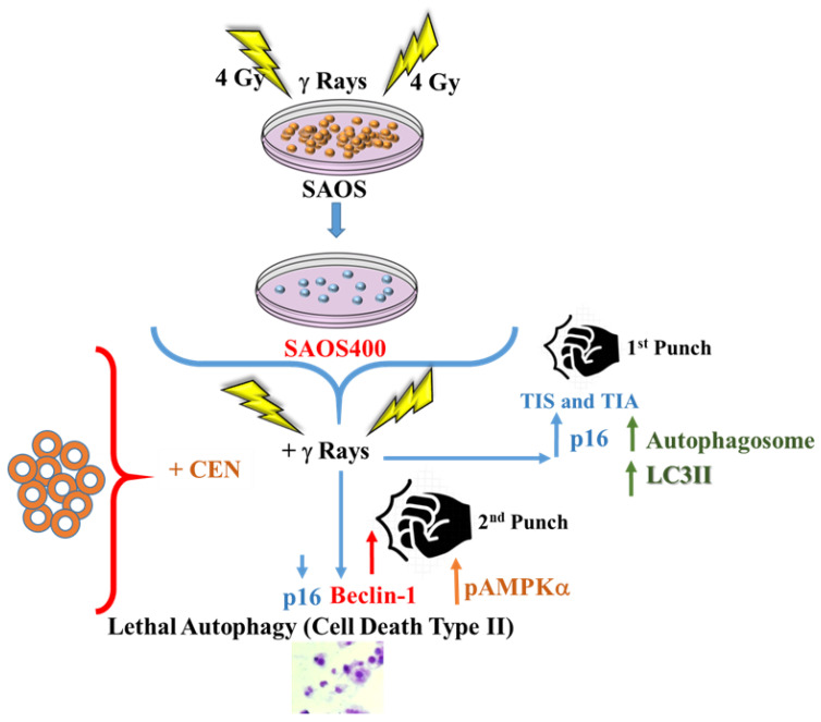 Figure 10