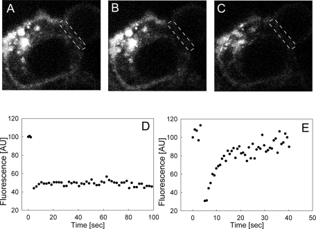 FIGURE 3: