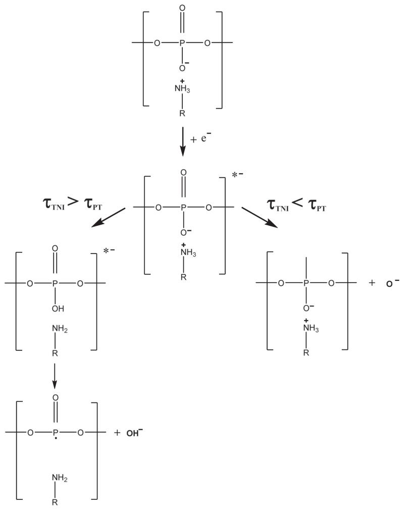 FIG. 5