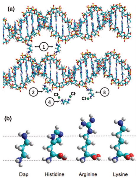 FIG. 1