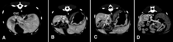 Fig. 3.