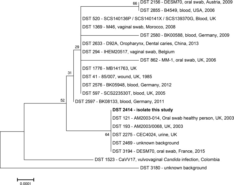 Fig. 2