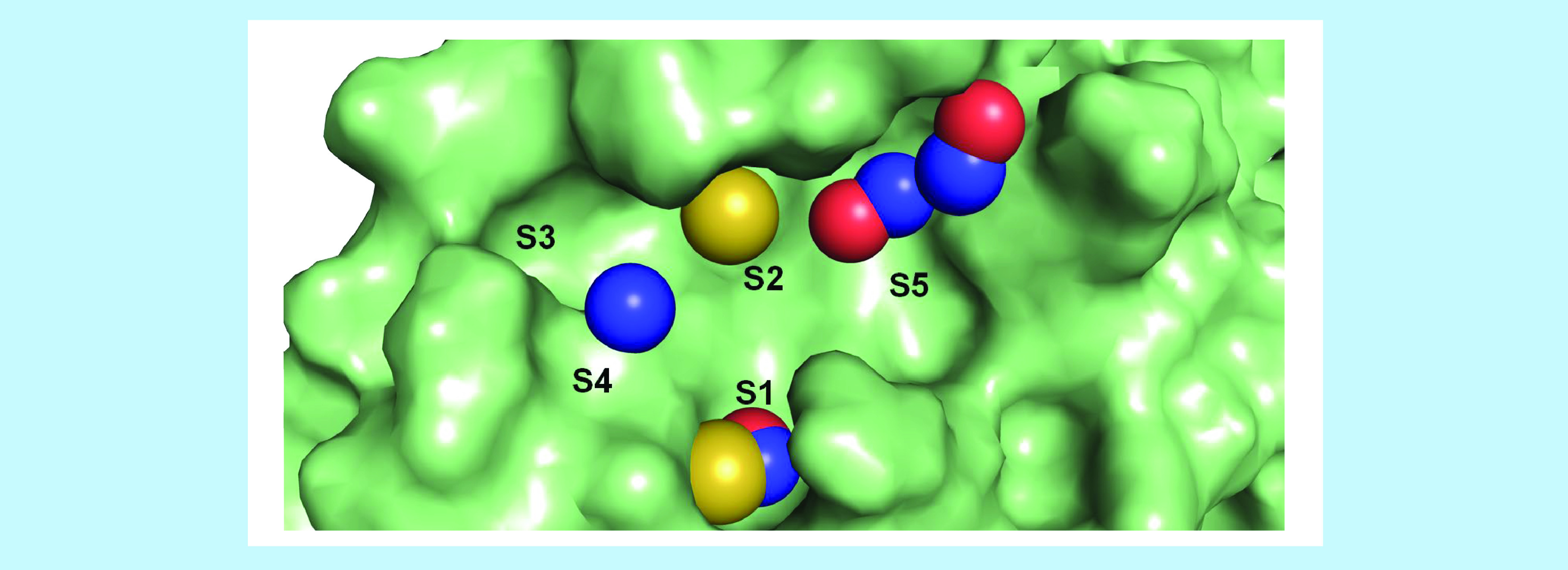 Figure 5. 