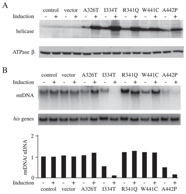 FIGURE 6