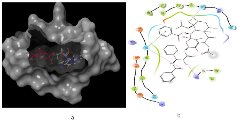 Figure 11