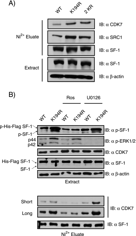 FIG. 9.