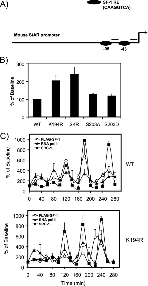 FIG. 8.