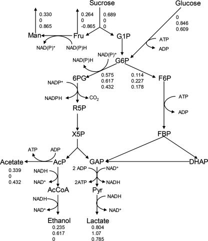 FIG. 3.