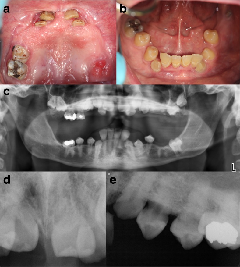 Fig. 2