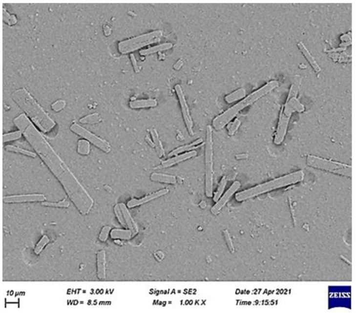 Figure 10