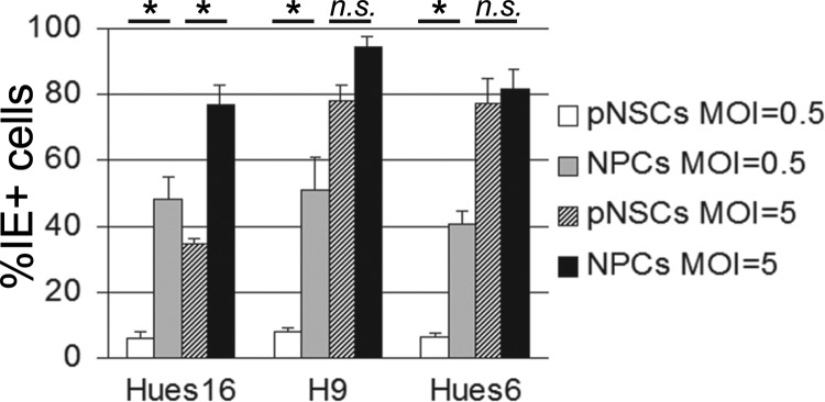 FIG 6