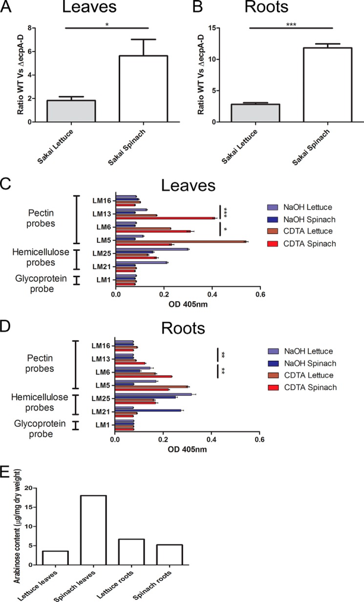 FIGURE 9.