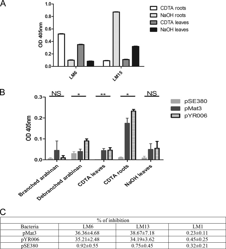 FIGURE 4.