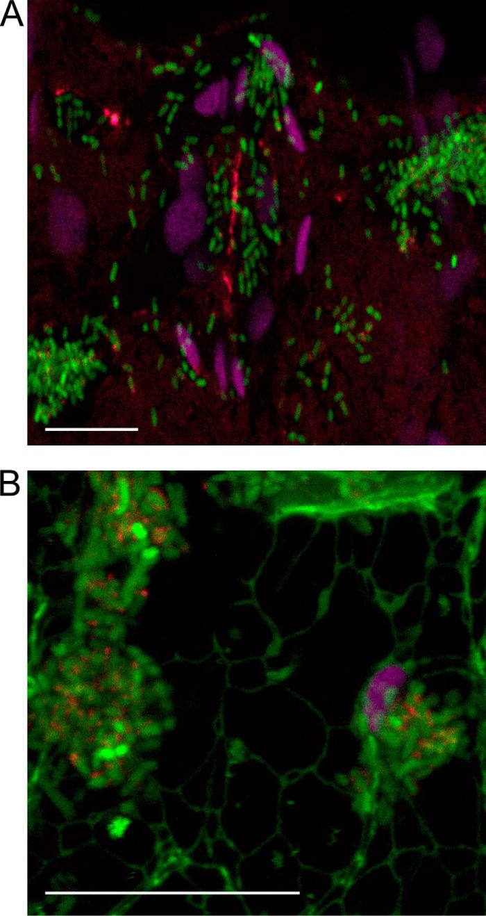 FIGURE 10.