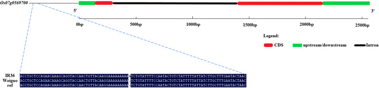 Fig. 9